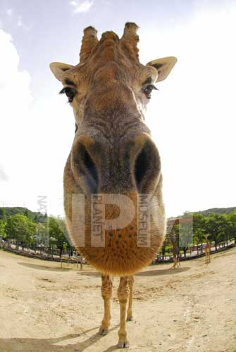 �����́E�E�E�L�����I�I