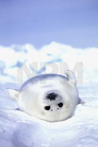 �����́E�E�E�^�e�S�g�A�U���V�I�I