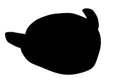 ���̂ǂ��ԂȂ��`�񂾁H_03