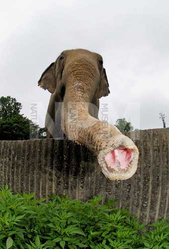 �����́E�E�E�]�E�I�I