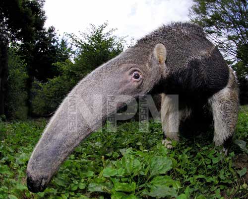 �����́E�E�E�A���N�C�I�I