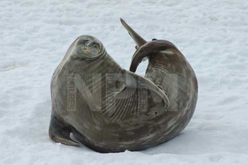 �����́E�E�E�E�F�b�f���A�U���V�I�I