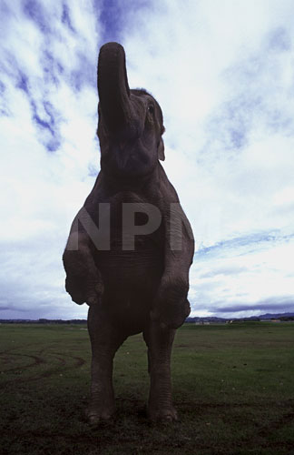 �����́E�E�E�]�E�I�I