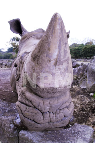 �����́E�E�E�T�C�I�I