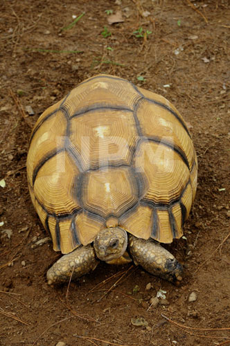 �����́E�E�E���N�K���I�I