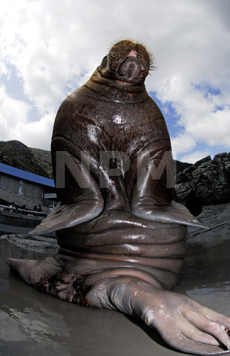 �����́E�E�E�Z�C�E�`�I�I