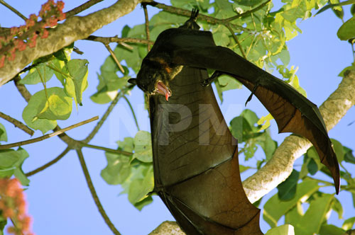 �����́E�E�E�R�E�����I�I