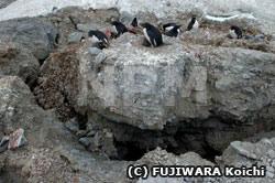 永久凍土に入った大きな亀裂