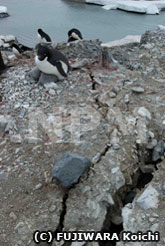 永久凍土に広がる亀裂