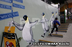 加熱する南極観光