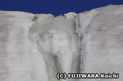 南極に出現した滝