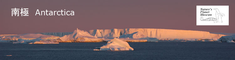 【流氷】 南極／Antarctica