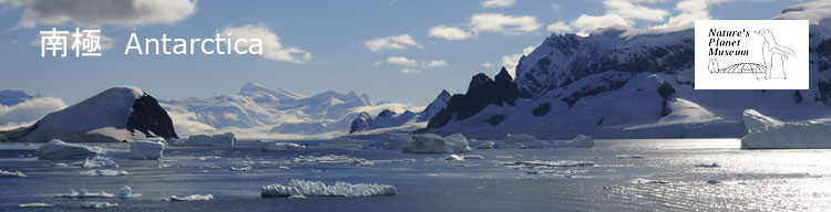 【南極風景】 南極／Antarctica