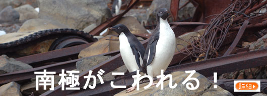 南極がこわれる