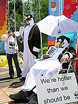 気候変動枠組み条約締約国会議の会場で、ペンギンの着ぐるみを着て地球温暖化の危機を訴える自然保護団体のメンバー＝11日、インドネシア・バリ島