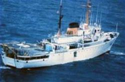 南極半島のギジェルミナ湾で122人を乗せた観光船が座礁した（ロイター）