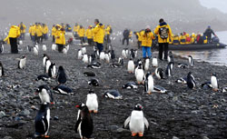 ペンギンと入り乱れる観光客（9日、バリエントス島で）＝加藤学撮影／(C) 読売新聞