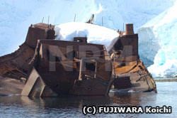 ノルウェー捕鯨船