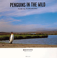 PENGUINS IN THE WILD