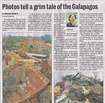 �w�����h�g���r���[��