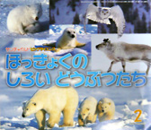 �T���`���C���h �r�b�O�E�T�C�G���X