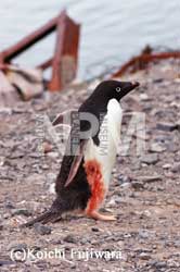 �����y���M��