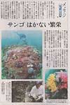 読売新聞（都民版）「メッセージ・東京湾」