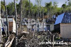 ���̂͂���̌�����