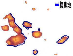 �K���p�S�X�y���M�������}�b�v