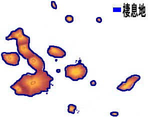 �K���p�S�X�V���K�S�C�����}�b�v