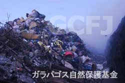 分別されることなく燃やされるゴミの山