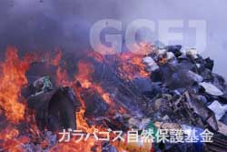 分別されることなく燃やされるゴミの山