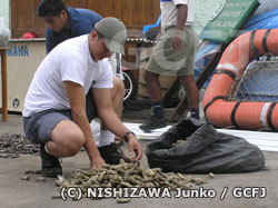 ナマコの種類を確認する国立公園スタッフ
