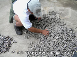 ナマコの種類を確認する国立公園スタッフ