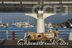 港のベンチでくつろぐ観光客