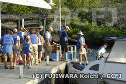 多くの観光客が観光船を利用して諸島をまわる