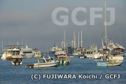 観光化が進むガラパゴスの港、サンタクルス島