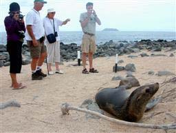ガラパゴスアシカを観察する観光客＝ガラパゴス諸島のノースセイモア島（共同）