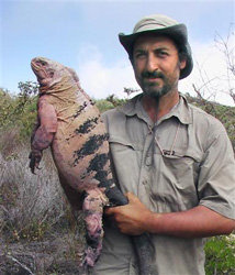 南米ガラパゴス諸島で確認されたピンク色のイグアナ（トルベルガータ大のガブリエラ・ジェンティーレ博士提供・共同）