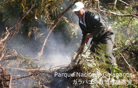 火災の拡大を防ぐため消火活動を行う国立公園のレンジャー
