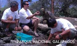 ジョージの卵を発見した国立公園スタッフとジョージ