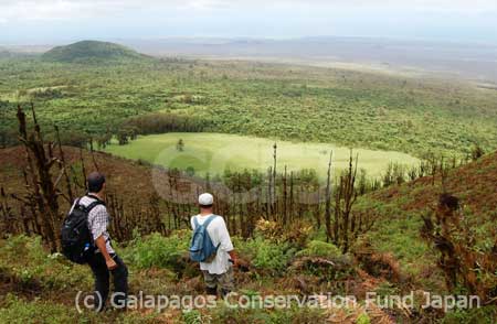 サンタクルス島最高峰の山、セロ・クロッカー