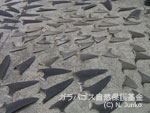大量に没収されたサメのヒレ（フカヒレ）