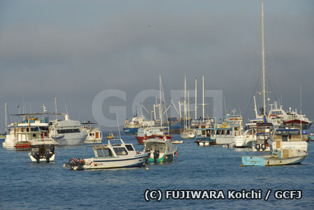 観光化が進むガラパゴスの港