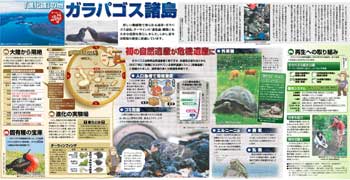 東京新聞・サンデー版