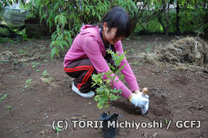 苗を植えている高校生