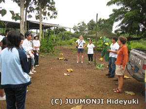 �u���[�t�B���O���i