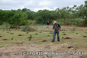 �����`���E�v���~�V�A�X�@�A�ёO