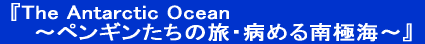 �wThe Antarctic Ocean �`�y���M�������̗��E�a�߂��ɊC�`�x