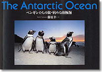 The Antarctic Ocean \yM̗Ea߂ɊC\